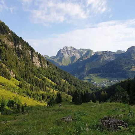 Coeur Portes Soleil, 4p Jardin * Chatel