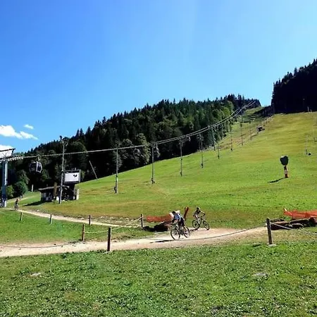 아파트 Coeur Portes Soleil, 4p Jardin Châtel