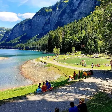 Coeur Portes Soleil, 4p Jardin Apartment Chatel